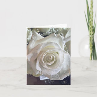 White Rose Note Card