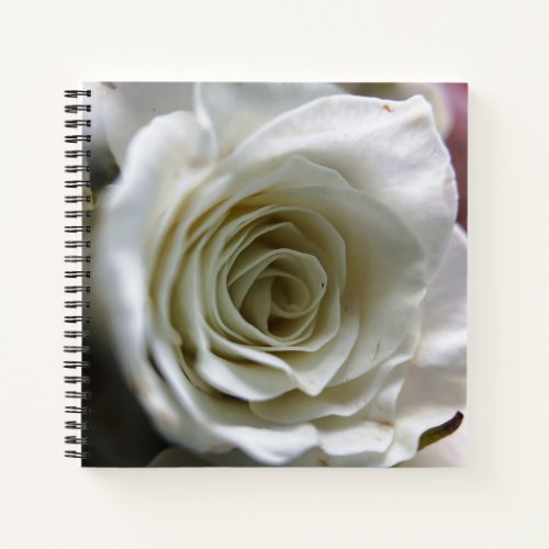 White rose notebook