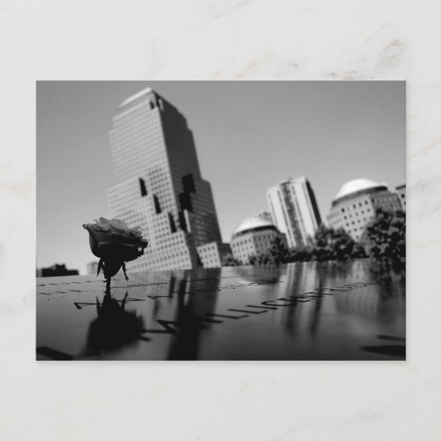 White rose of remembrance postcard (Front)