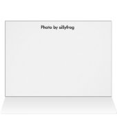 White Rose of Sharon Cards (Inside Horizontal (Top))