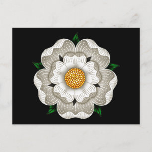 White Rose of York Postcard