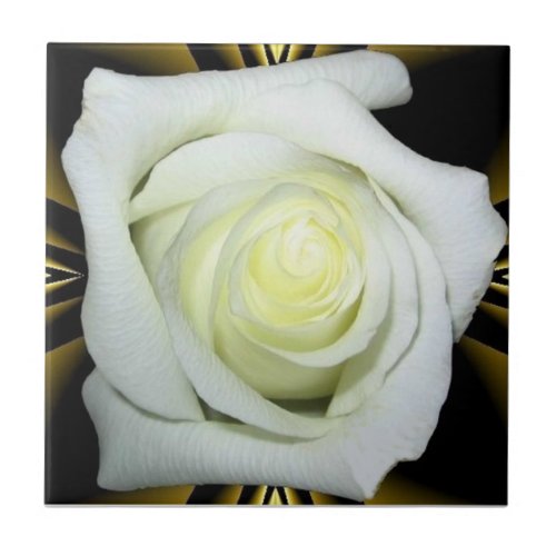 White Rose on Black and Gold Background Ceramic Tile
