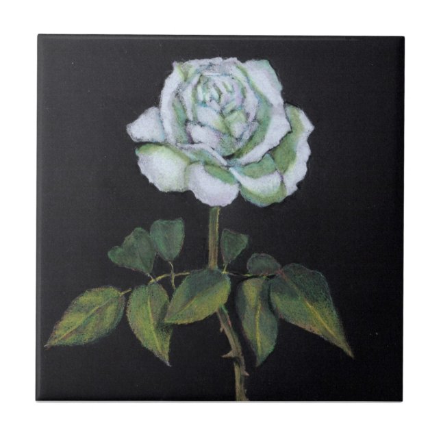 White Rose on Black Background: Color Pencil Tile (Front)