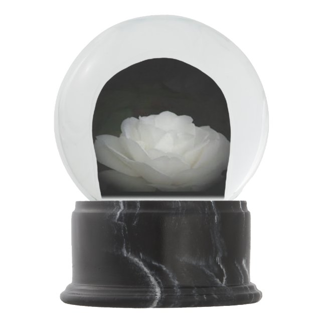 white rose on black snow globe (Front)