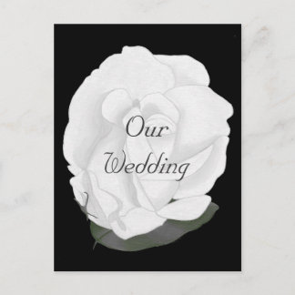 White rose on Black, Wedding Invitation Postcards