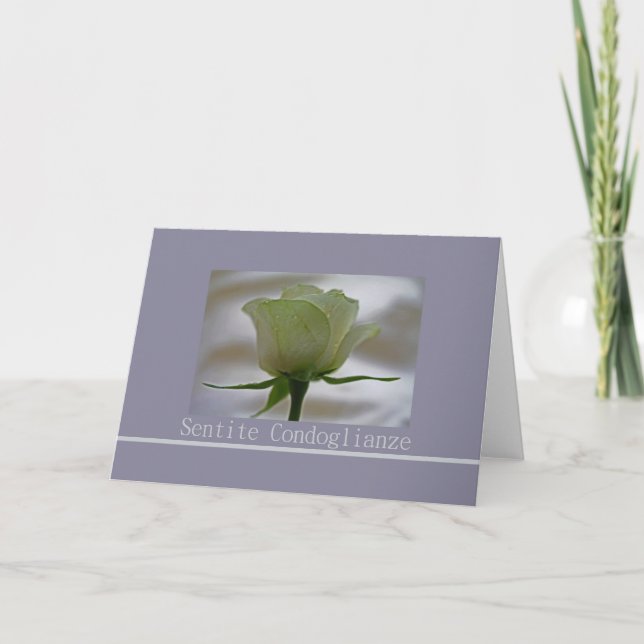 white rose on grey italian sympathy card (Front)