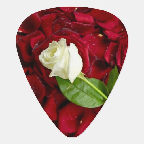 White Rose On Red Petals Guitar Pick