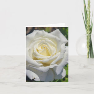 White Rose Personalized Greeting Card
