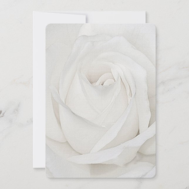 white Rose Petals Note Card (Front)