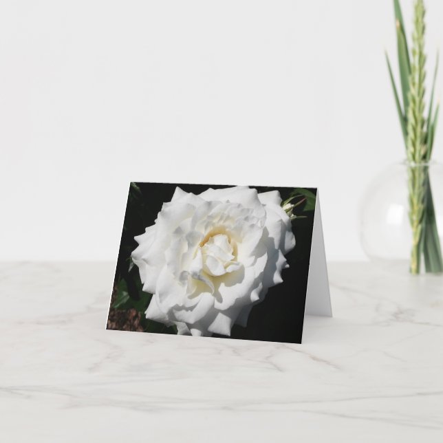 White Rose Photo Folded Note Card (Front)