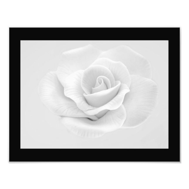 White Rose Photo Print (Front)