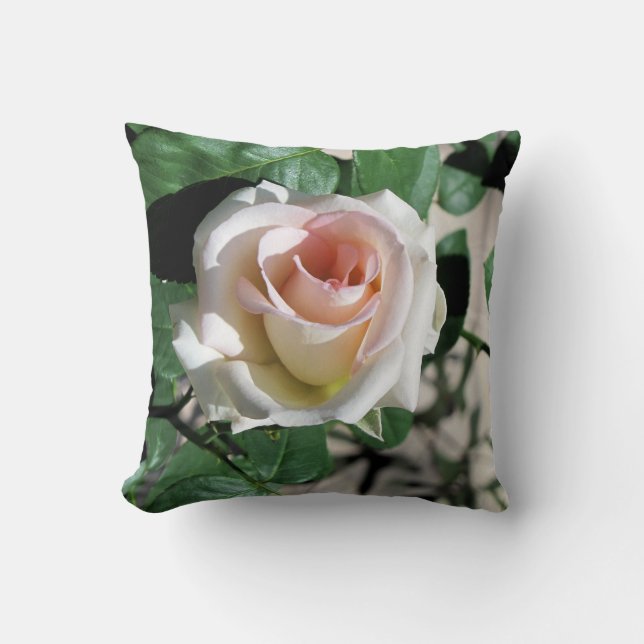 White Rose Pink Center Pillow 16" x 16" (Front)