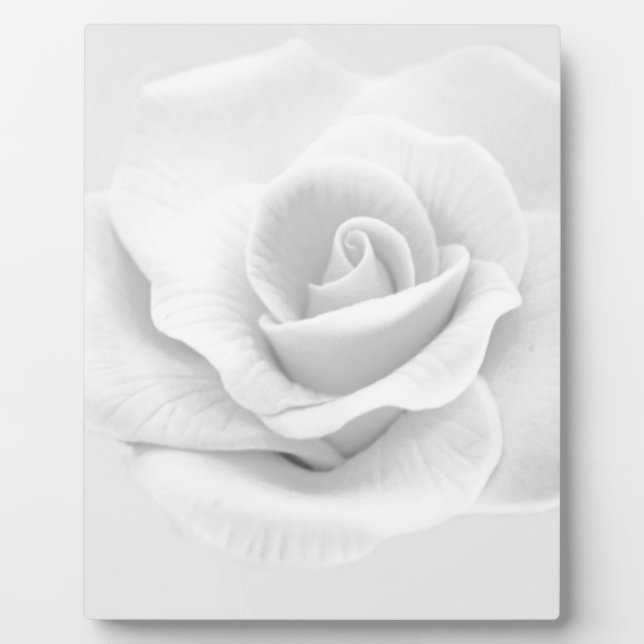 White Rose Plaque (Front)