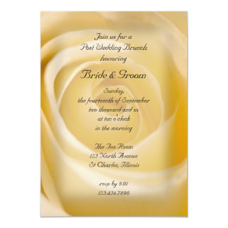 White Rose Post Wedding Brunch Invitation