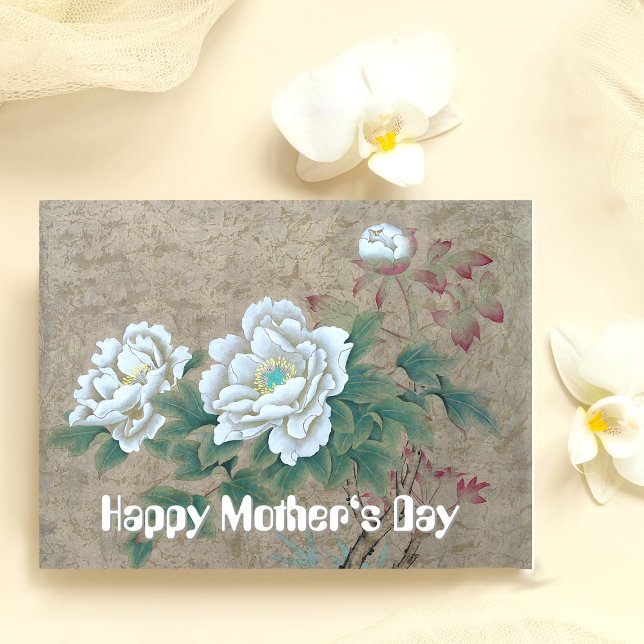 White Rose Postcard (Creator Uploaded)