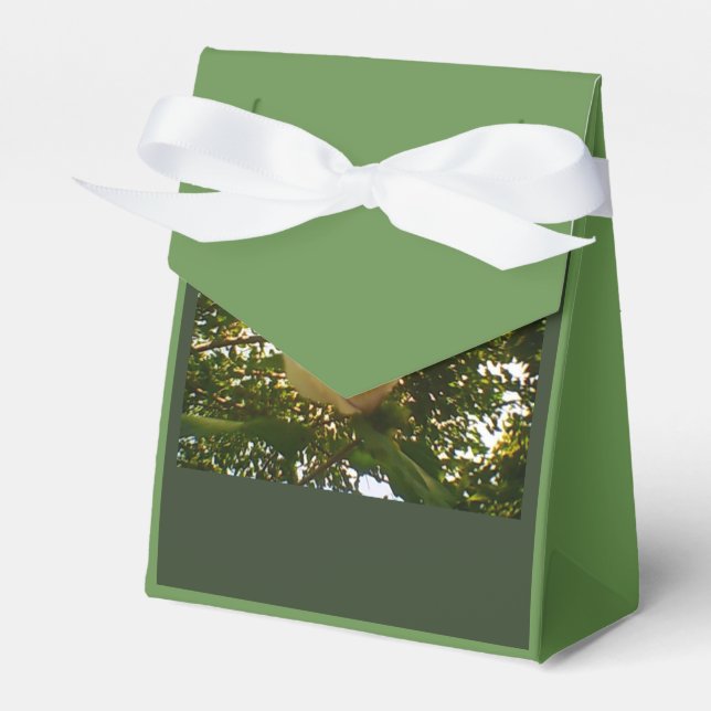 White Rose Ribbon Gift Favor Boxes (Front Side)