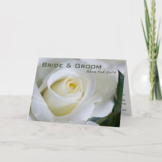 White Rose • Save the Date Card