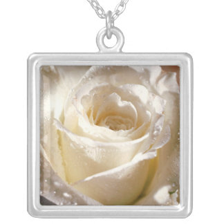 White Rose Silver Plated Necklace
