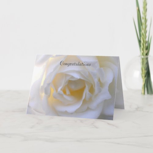 White rose soft focus card