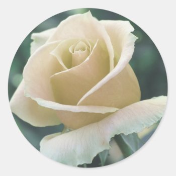 White Rose Sticker by ggbythebay at Zazzle