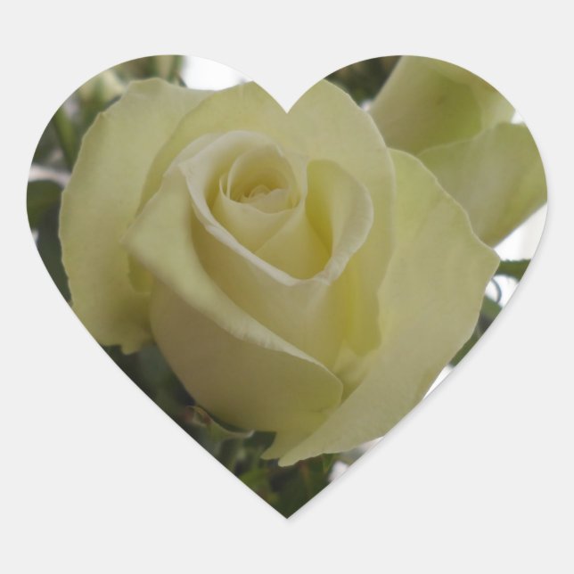 White rose stickers (Front)