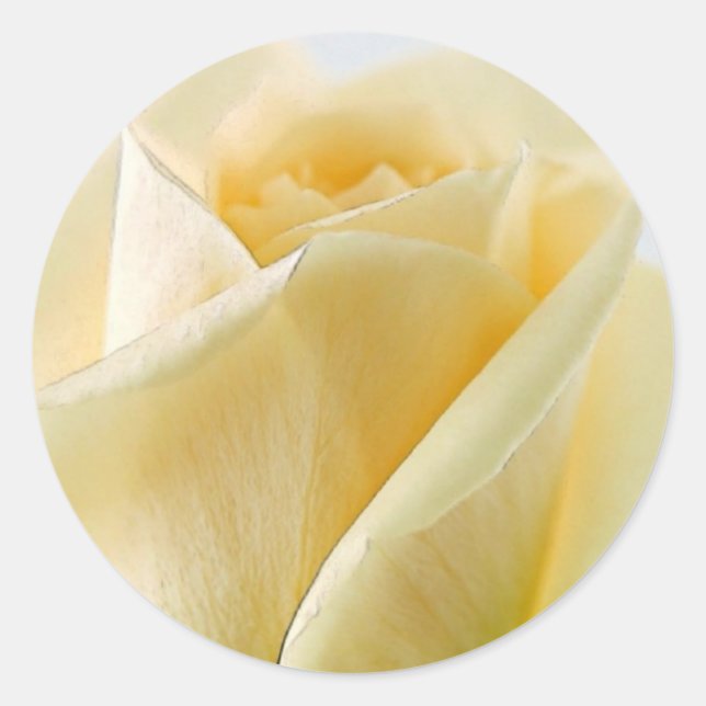 White Rose Stickers and Envelope Seals (Front)