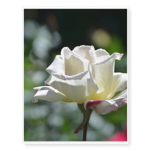 White Rose Temporary Tattoos
