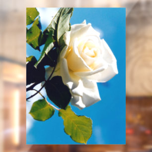 White rose under blue sky window cling
