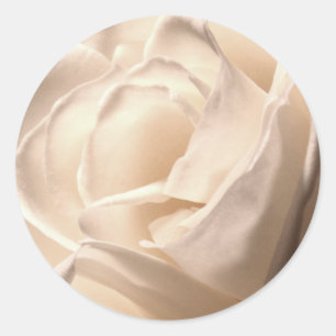 White Rose Wedding And Event Envelope Seal