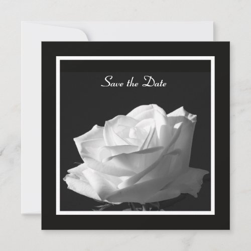 White Rose Wedding Save the Date Invite