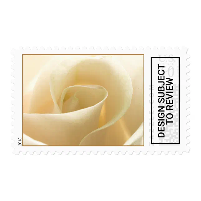 Cream White Rose Wedding Postage Stamp, Zazzle