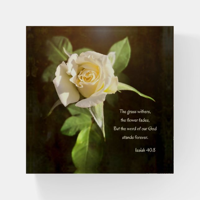 White Rose with Bible Quote Paperweight (Front)