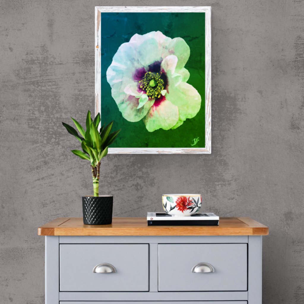White rose with dark heart - oil paint