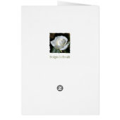 White Rose with Dew Cards (Back)