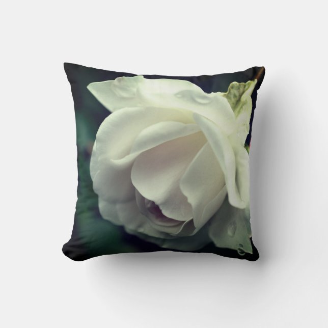 White Rose With Raindrops Floral Throw Pillow (Front)