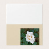white rosebud (Outside Unfolded)