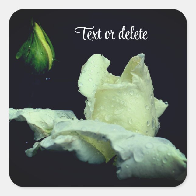White Rosebud After Rain Personalized Square Sticker (Front)