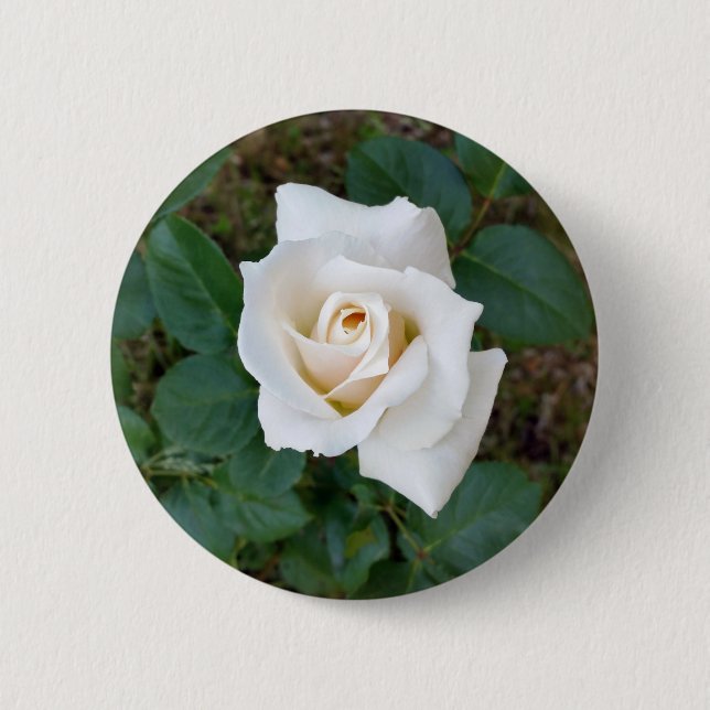white rosebud button (Front)