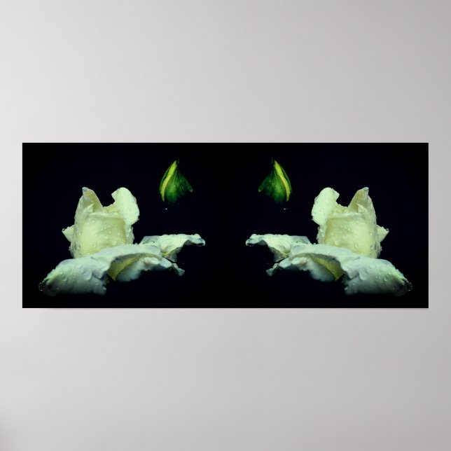 White Rosebud Flower Mirror Abstract Poster (Front)