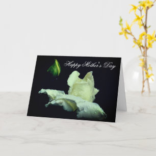 White Rosebud Flower Mother's Day Card
