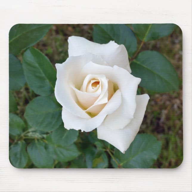 white rosebud mouse pad (Front)