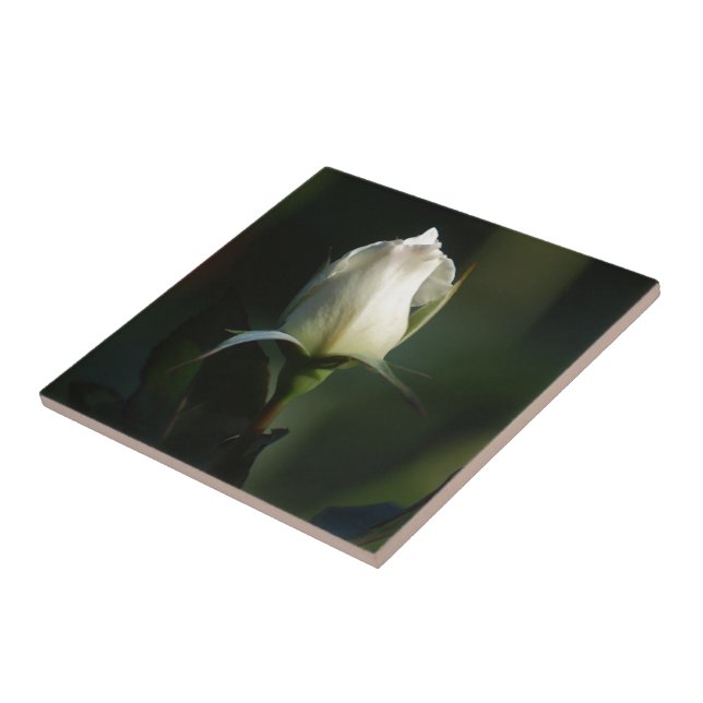 White Rosebud Tile (Side)