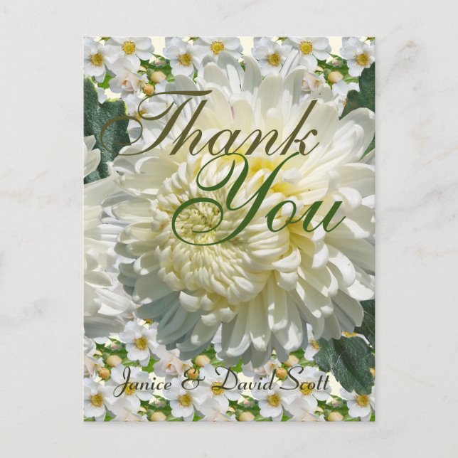 White Roses and Chrysanthemum Wedding Thank You Postcard (Front)