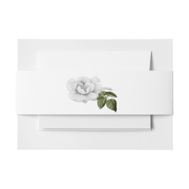 White Roses and Ferns Wedding Invitation Belly Band (Front Example)