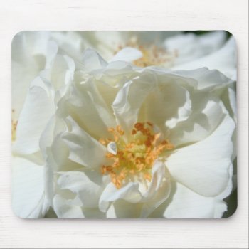 White Roses And Sun - Floral Photography Mouse Pad by PBsecretgarden at Zazzle