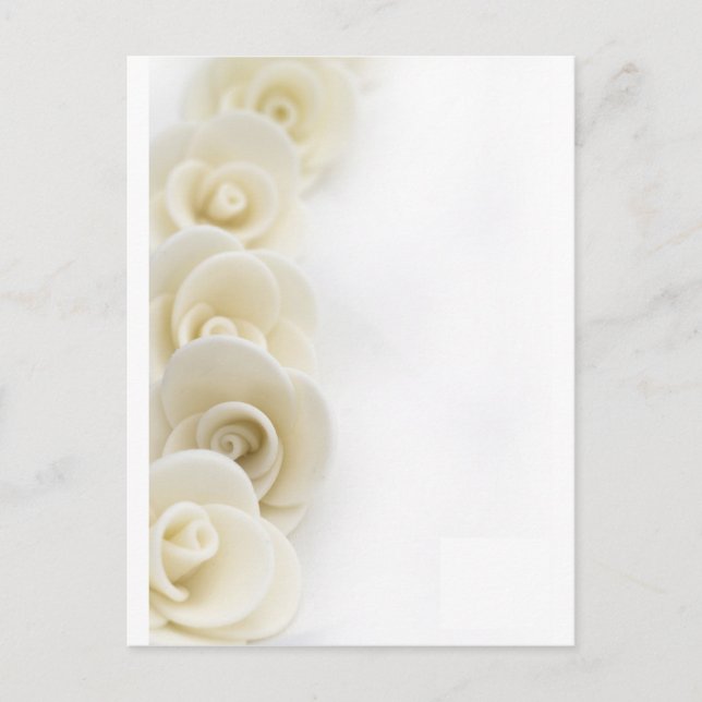 white roses background postcard (Front)