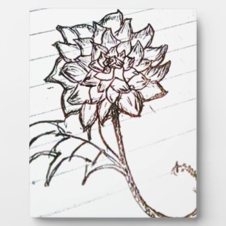 white roses flower