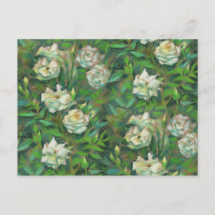 "White roses, green leaves", beautiful flowers Postcard