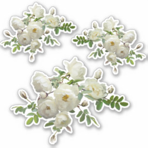 White Roses on a Branch Scrapbook Stationery Sticker