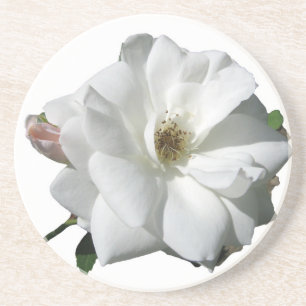 White Roses Party Shower Wedding Blossoms Destiny Coaster